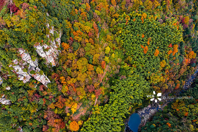 航拍秋季浙江宁波余姚四明山丹山赤水风景区柿林村图片素材