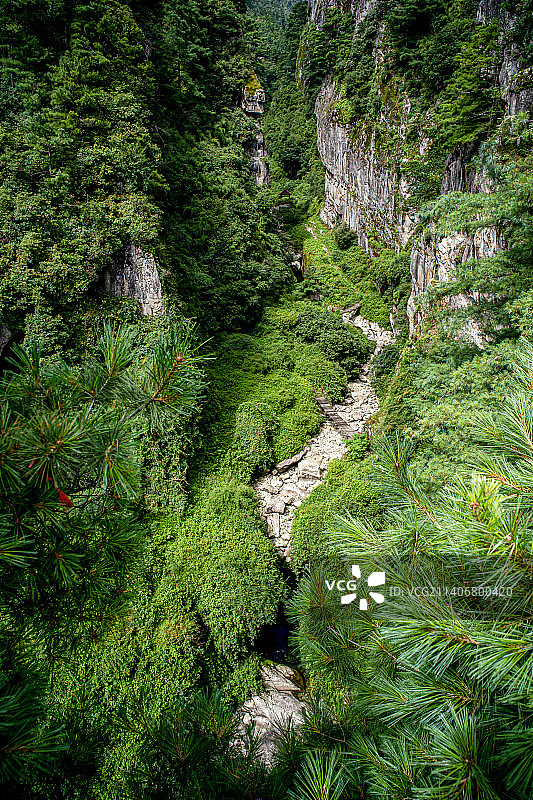 中国云南大理州著名景点苍山世界地质公园山地森林风光图片素材