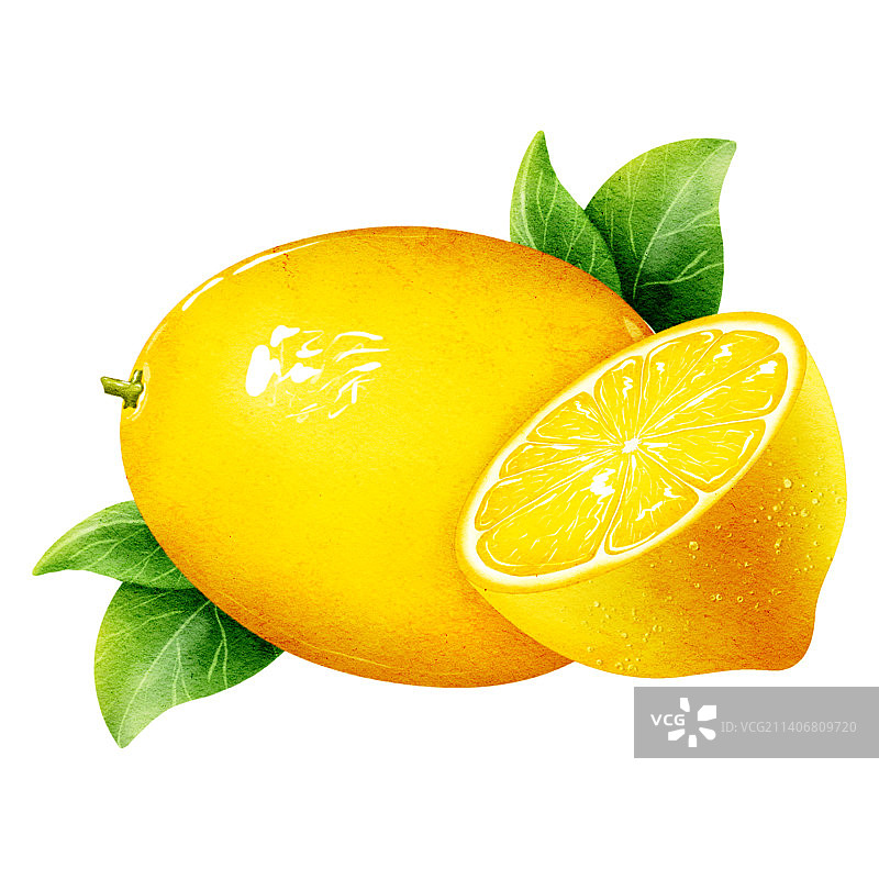 手绘水果柠檬图片素材