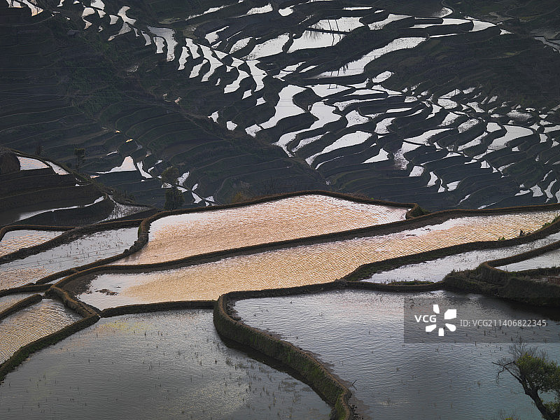 云南红河甲寅乡《他撒梯田》图片素材