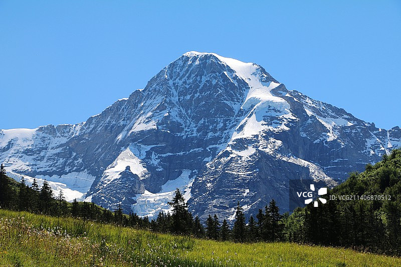 瑞士伯尔尼劳特布龙嫩蓝天下的雪山图片素材