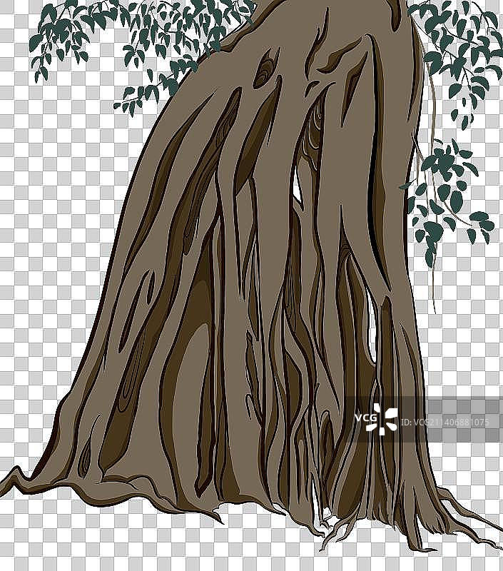 老榕树图片素材