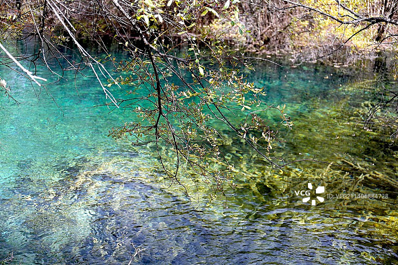 秋天，九寨沟的碧潭与潺潺溪流图片素材