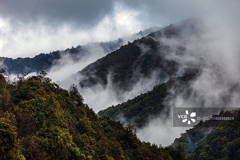 云南省玉溪市新平县哀牢山原始森林图片素材