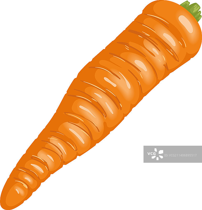 新鲜胡萝卜蔬菜图片素材