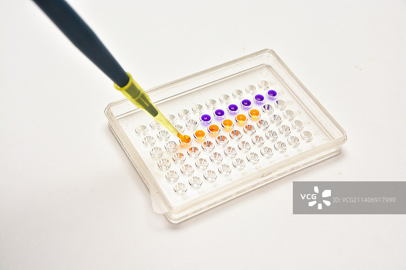 白色背景下的试管架特写图片素材