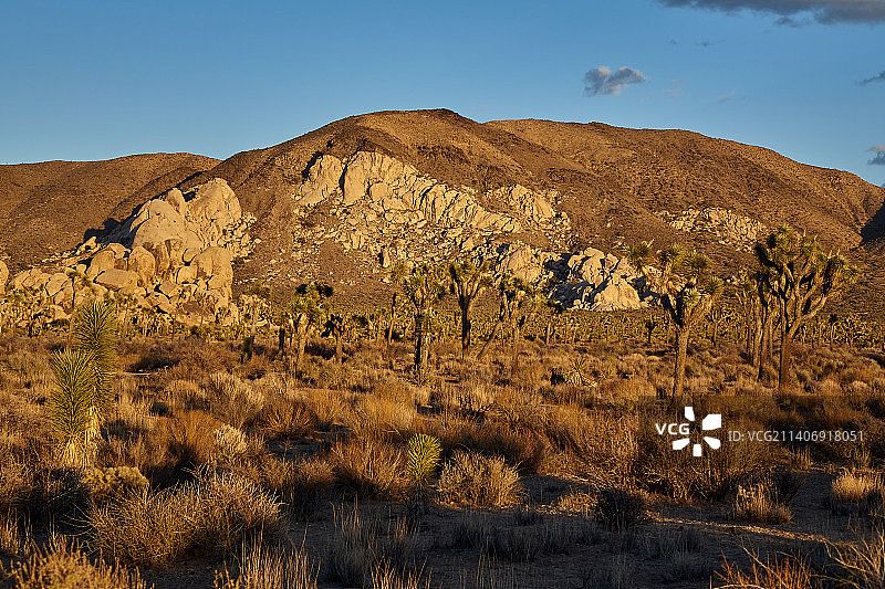 美国加利福尼亚州滨河县沙漠风光图片素材