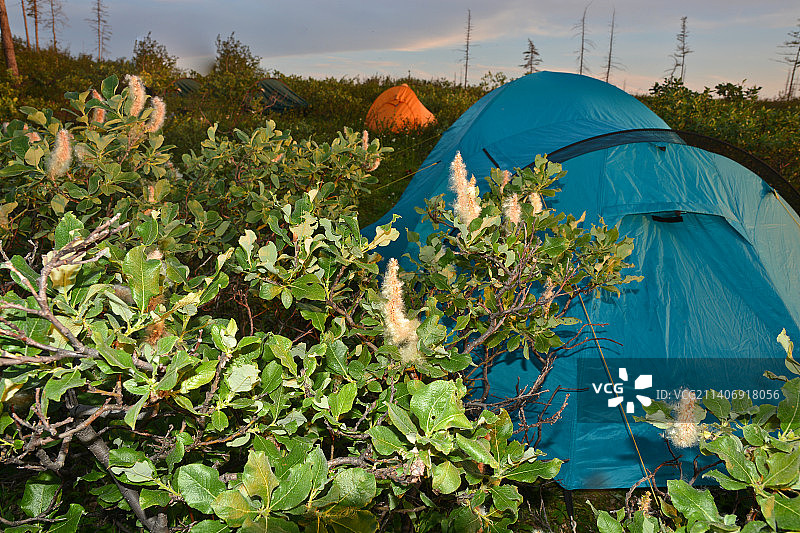 俄罗斯普托拉纳高原上的小帐篷图片素材