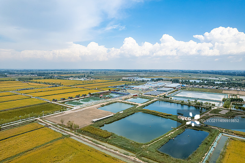 宁夏农业试点贺兰县稻渔空间图片素材