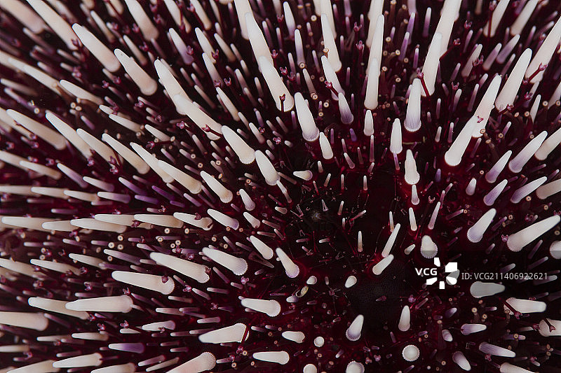 抽象背景特写图片素材