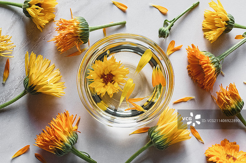 碗里的金盏花油，白色背景上的万寿菊花，草药医学图片素材