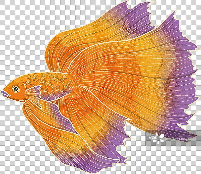 锦鲤斗鱼国风元素侧面图片素材