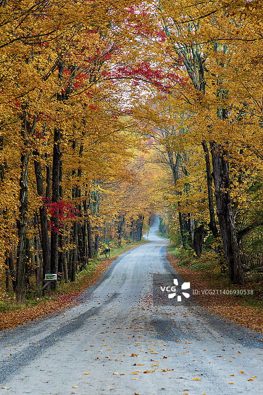 秋季美国佛蒙特州的林间空旷道路图片素材
