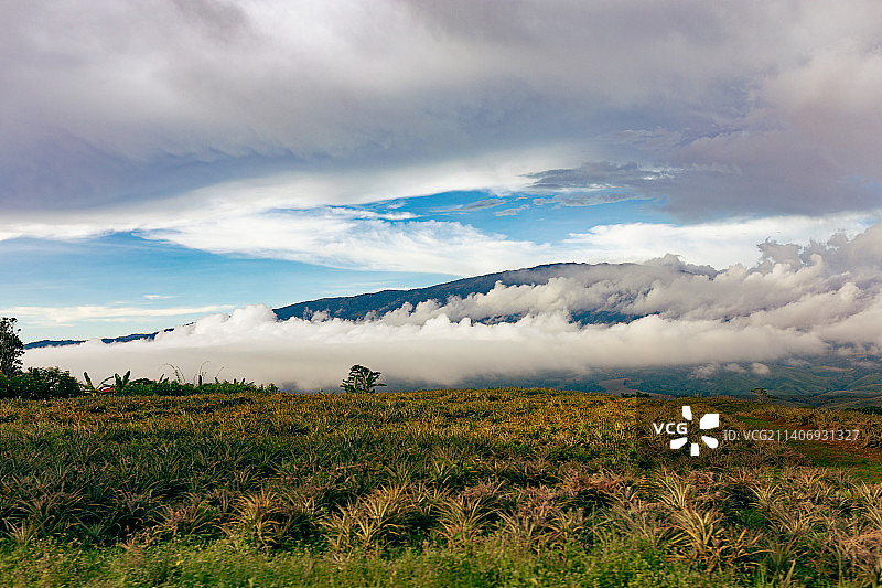 棉兰老岛的田野风光，菲律宾图片素材