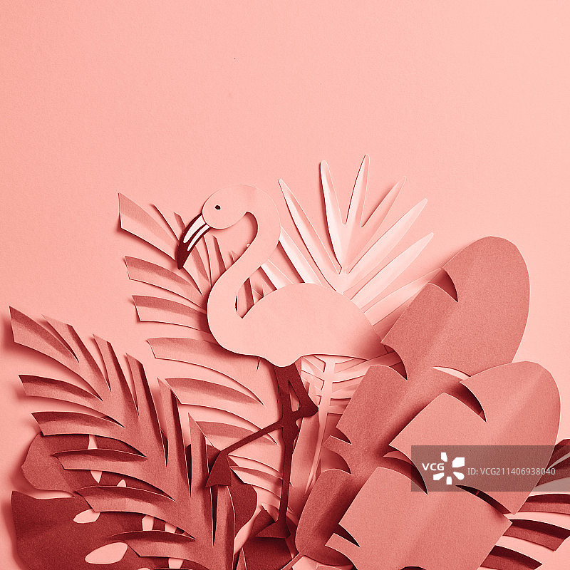 特写：粉色背景下的纸币图片素材