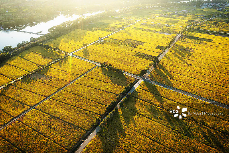 浙江丽水松阳松古灌区松阴溪秋季水稻丰收航拍图片素材