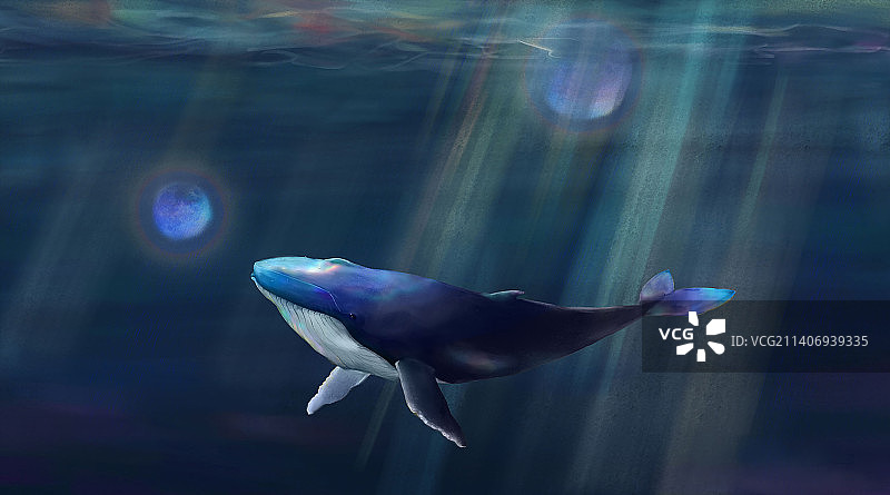 深海鲸鱼图片素材