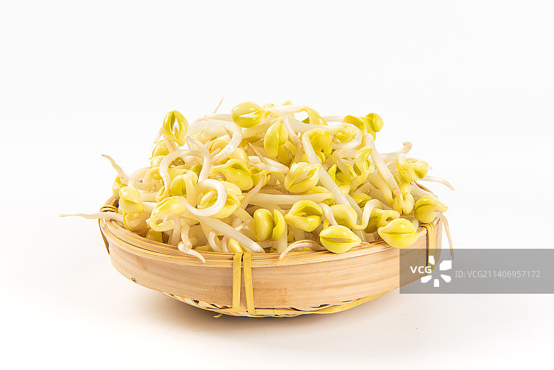 白色背景上的新鲜黄豆芽图片素材