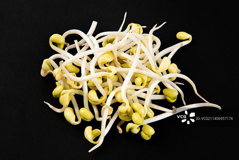黑色背景上的黄豆芽图片素材