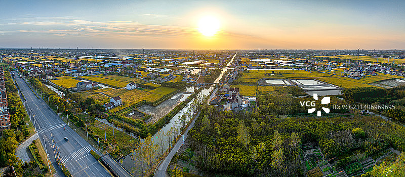上海奉贤区海湾镇 五四农场 沿海滩涂围垦造田 盐碱土改良土壤 农业农村农民 水稻种植 秋收金色稻田图片素材