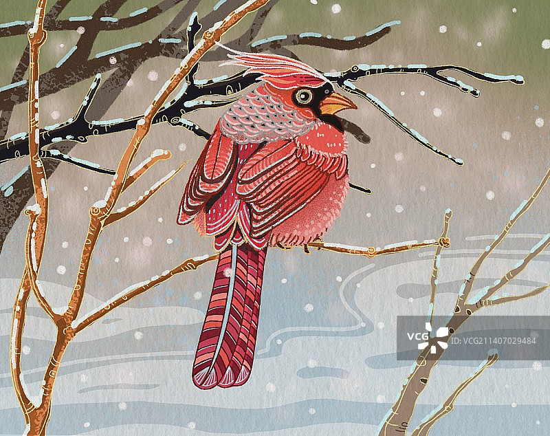 冬日树枝上的希望鸟图片素材