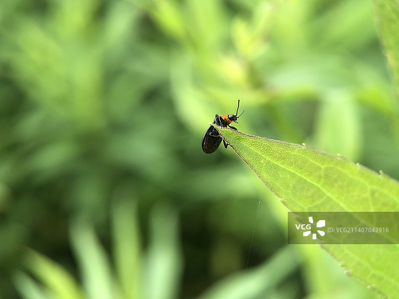 加把劲图片素材
