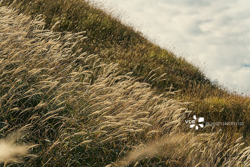 武功山草甸图片素材