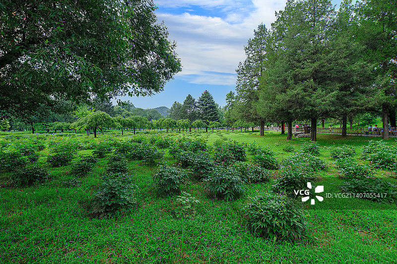 中国河北承德避暑山庄平原区风景图片素材