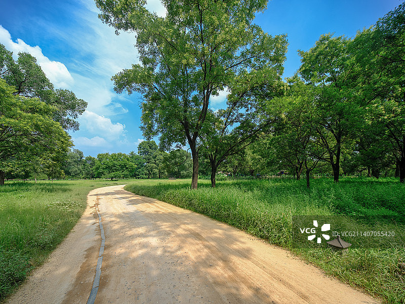 蜿蜒的土路穿过草地图片素材