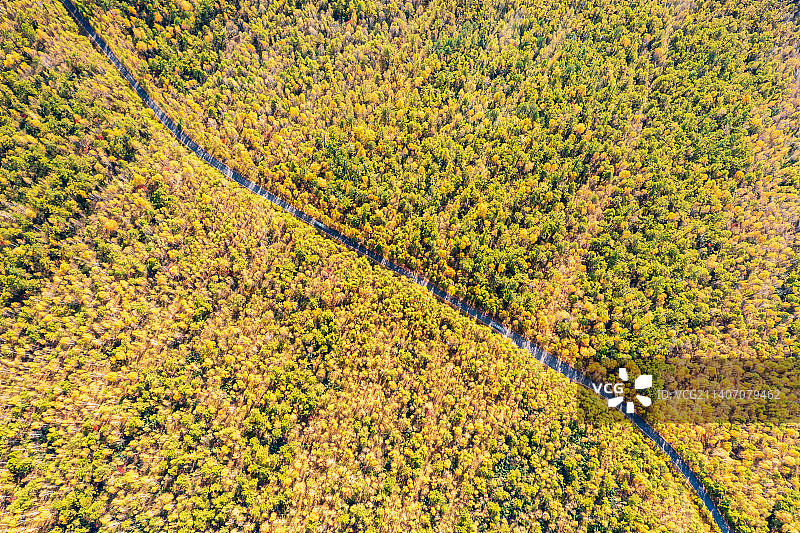 内蒙古呼伦贝尔市额尔古纳市莫尔道嘎国家森林公园大兴安岭林区与公路秋季户外航拍正上方视角图片素材