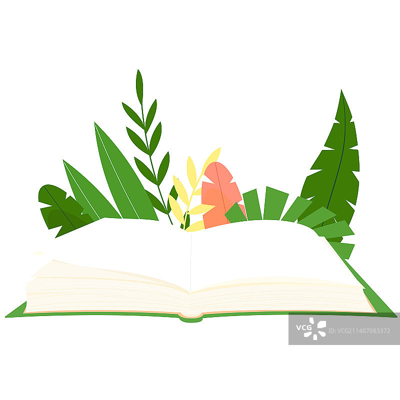 翻开的书本和植物矢量插画图片素材