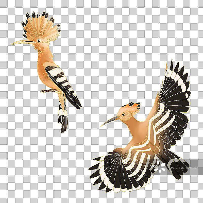 国潮喜庆插画戴胜鸟图片素材