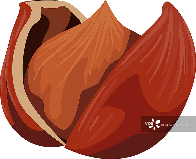 扁平巴西坚果设计图片素材