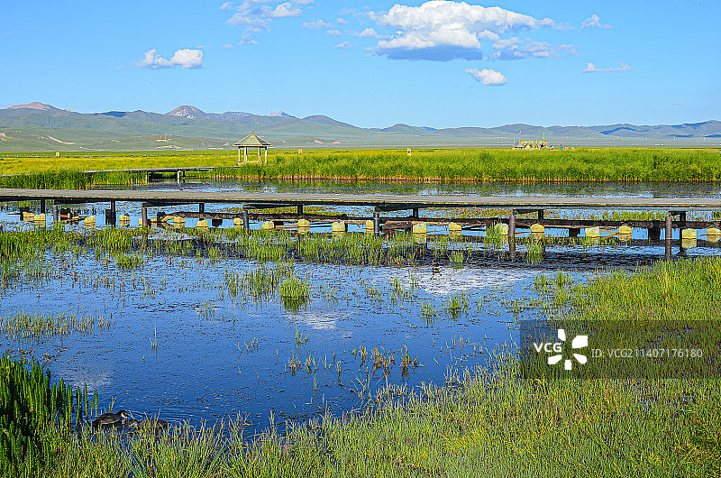 四川阿坝州若尔盖热尔大坝草原花湖湿地风景区中的凉亭和木栈道图片素材