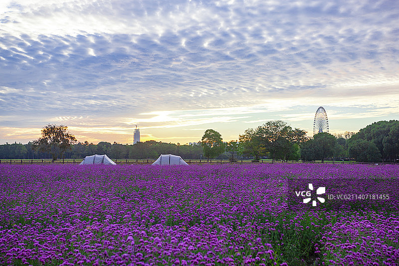 野外露营场景图片素材