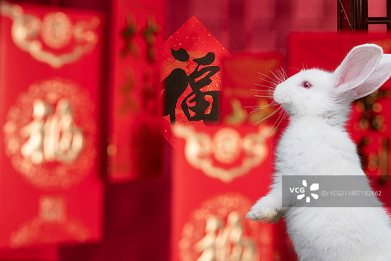 兔年大吉图片素材