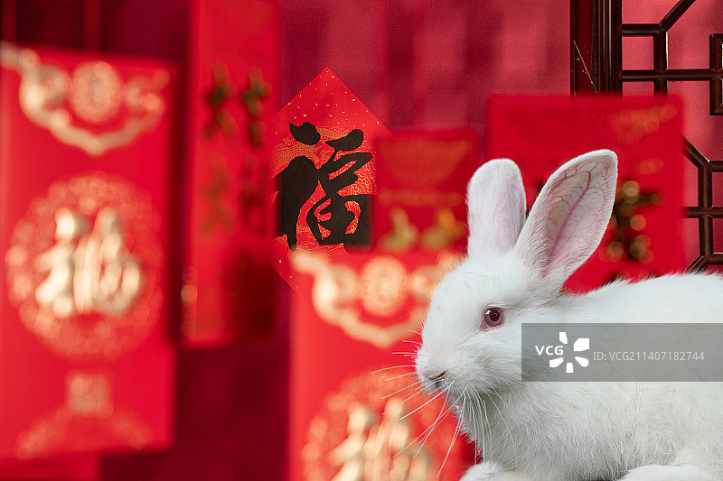 兔年大吉图片素材
