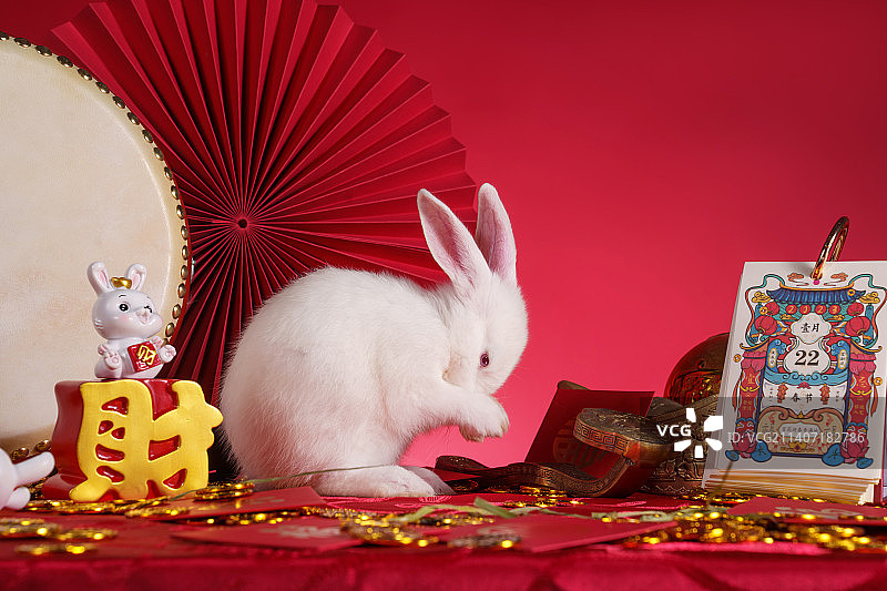 兔子和新年元素图片素材