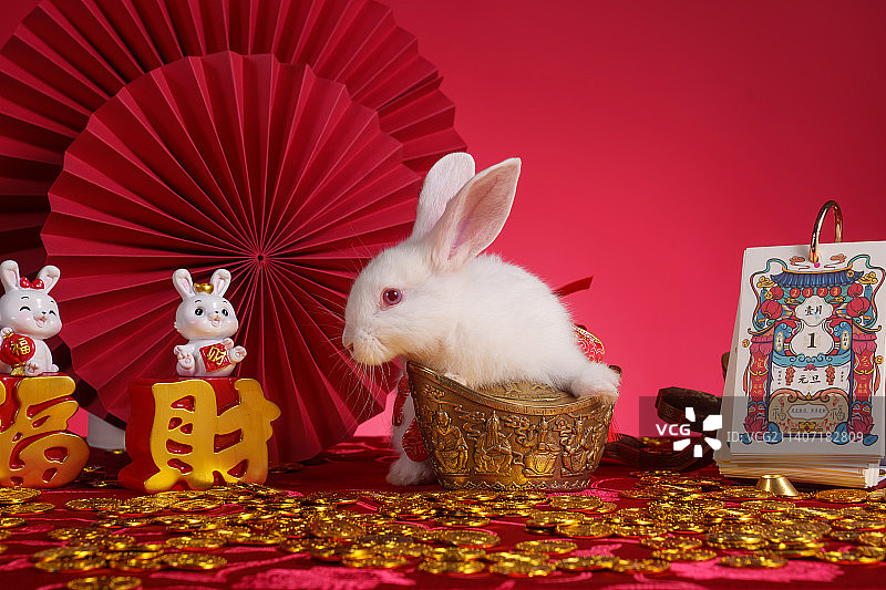 兔子和新年元素图片素材