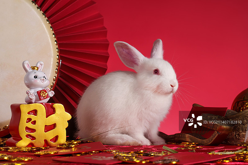 兔子和新年元素图片素材