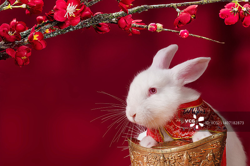 小兔子和金元宝图片素材