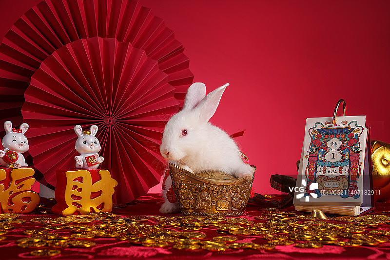 兔子和新年元素图片素材
