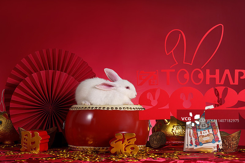 兔子和新年元素图片素材