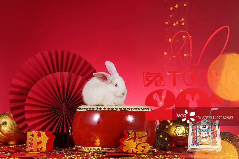 兔子和新年元素图片素材