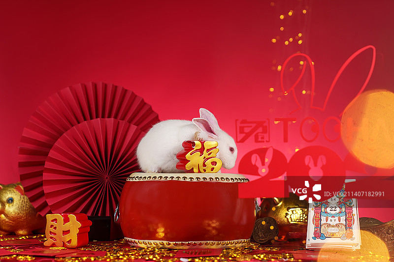兔子和新年元素图片素材