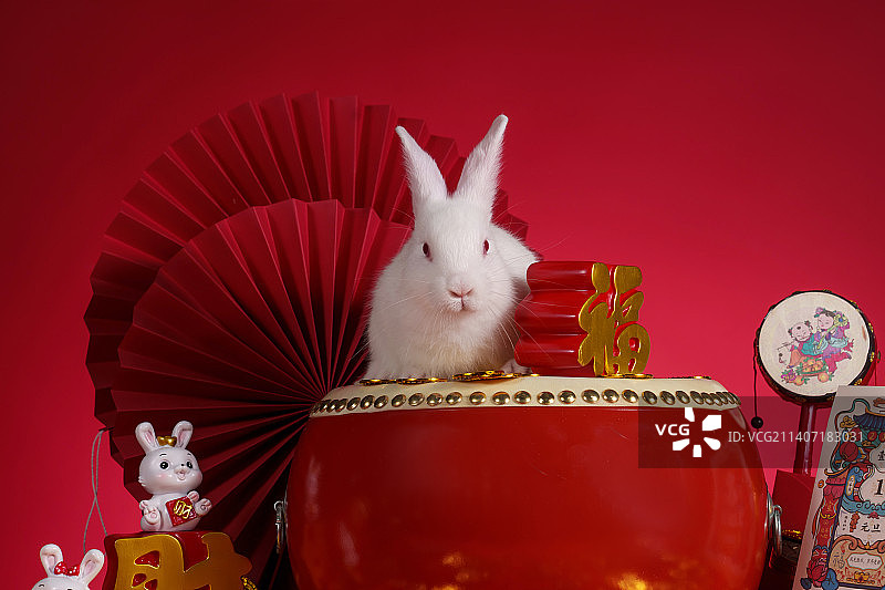 兔子和新年元素图片素材