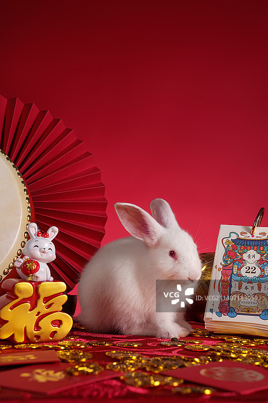 兔子和新年元素图片素材