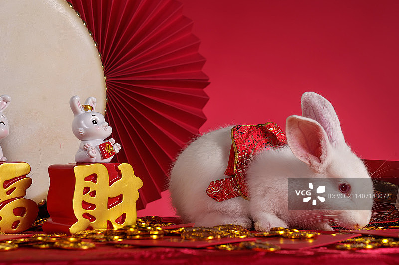 兔子和新年元素图片素材