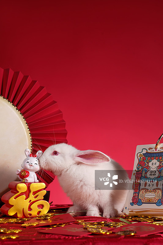 兔子和新年元素图片素材