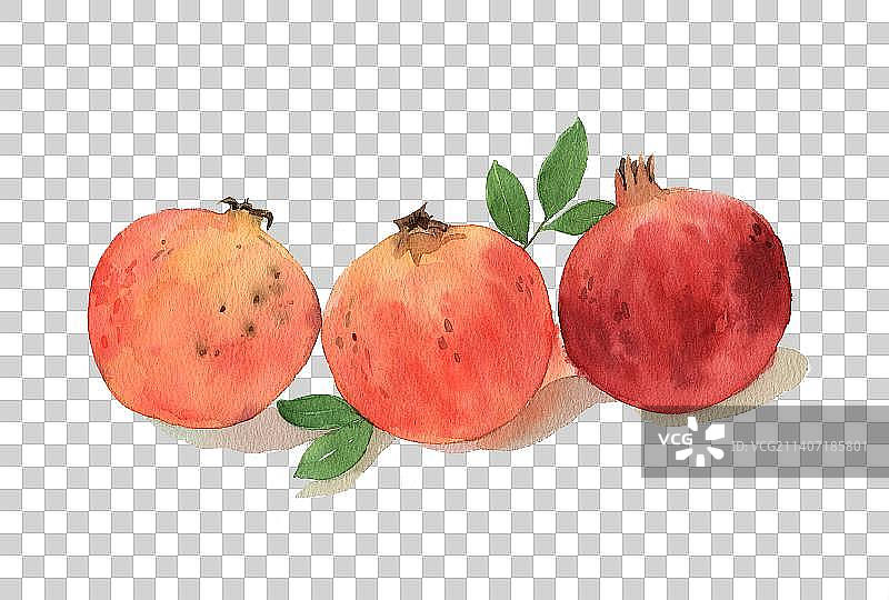 水彩石榴手绘插画秋天果实红石榴水彩插画插图图片素材